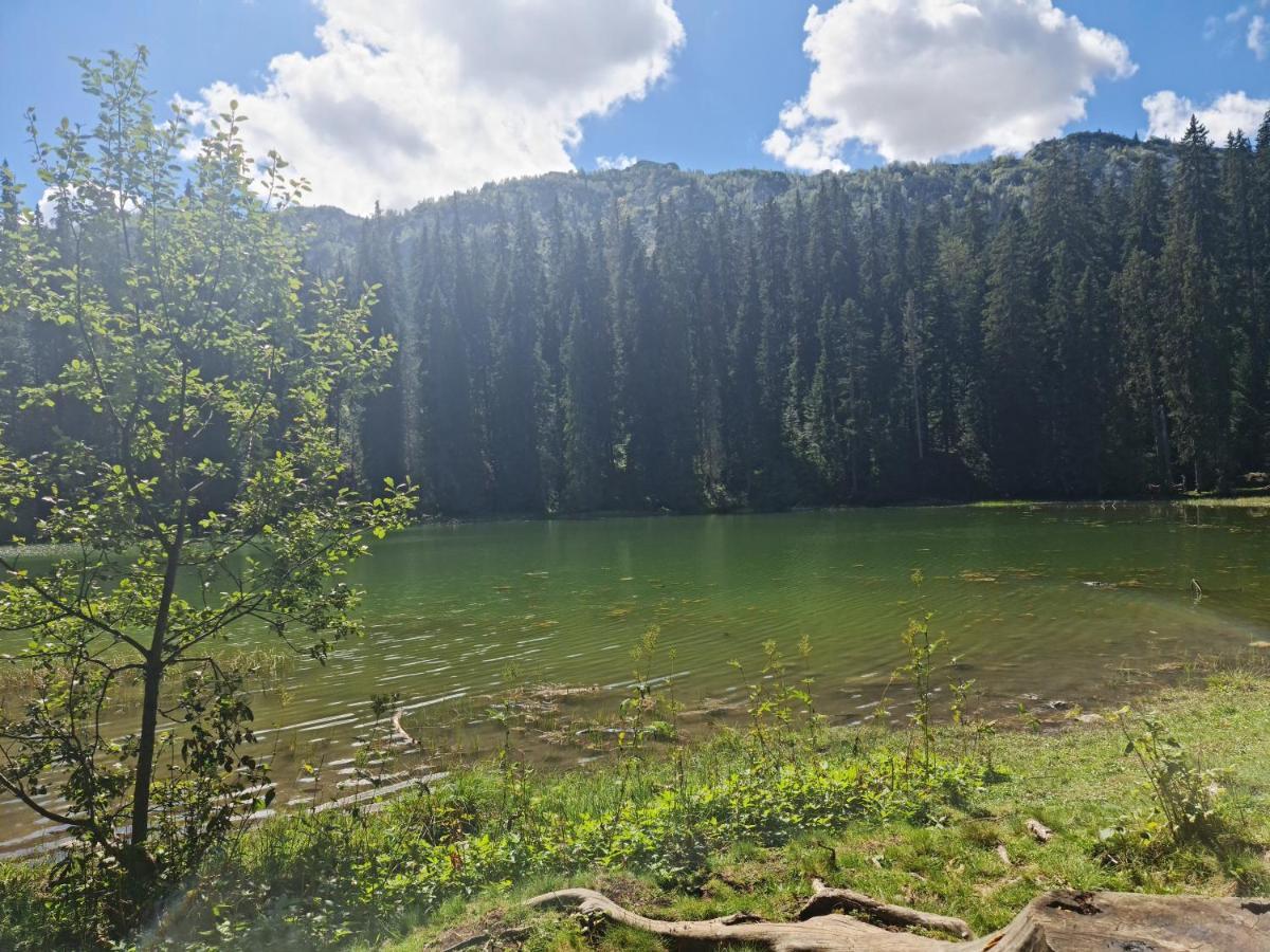 Holiday Home Mountain Žabljak Esterno foto